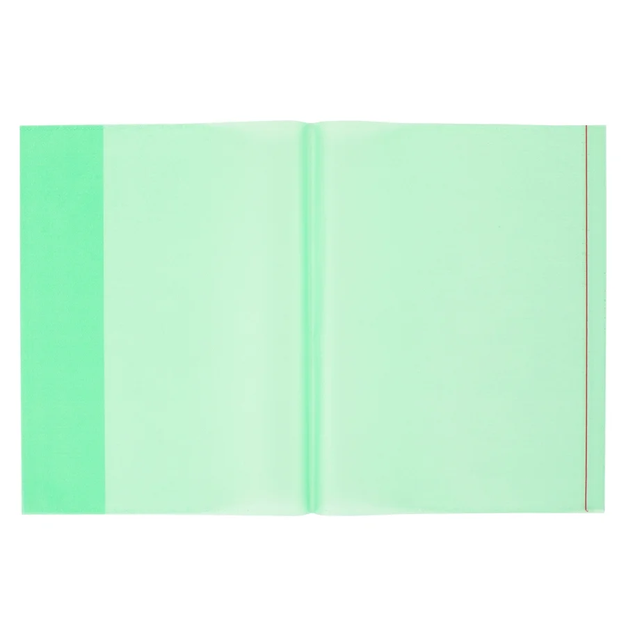 Bigpoint A4 Hazır Defter Kabı 5'li Paket Şeffaf Yeşil