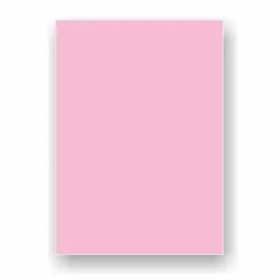 ADEL 50x70 160 gr PEMBE FON KARTONU 2022 100 LÜ (Best)