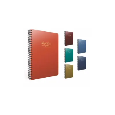 GIPTA METAL NOTES A6 80 YP ÇİZGİLİ SPR PP KAPAK DEFTER 5542 (Best)