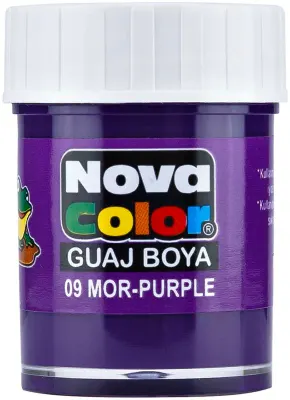 NOVA COLOR GUAJ BOYA MOR ŞİŞE NC-111 (Best)