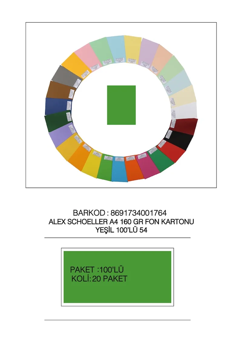 ALEX FON KARTONU 160GR A4 YEŞİL 100 LÜ 54