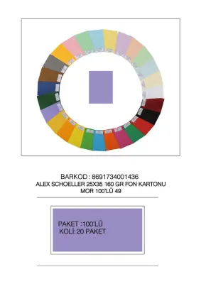 ALEX FON KARTONU 160GR 25X35 MOR 100 LÜ 49
