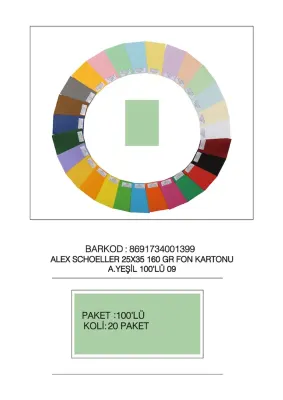 ALEX FON KARTONU 160GR 25X35 AÇIK YEŞİL 100 LÜ 09