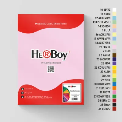 HERBOY FON KARTONU 25X35 160GR NO:19 PEMBE HRB-3729