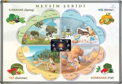 PANDA EĞİTİM MEVSİMLER TABLOSU ALÜMİNYUM ÇERÇEVE 70X100 PAN 512 (Best)