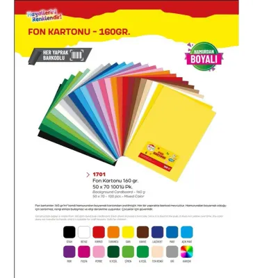 MILEO 1701 50x70 FON KARTONU KARIŞIK 160 gr 100 LÜ