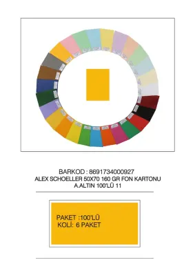 ALEX FON KARTONU 160GR 50X70 AÇIK ALTIN 100 LÜ 11 (Best)