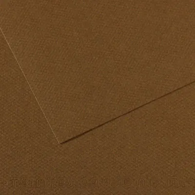 CANSON FON KARTONU MI-TEINTS 50x65 160 GR ( 10 LU PAKET ) TÜTÜN 501 31033S122