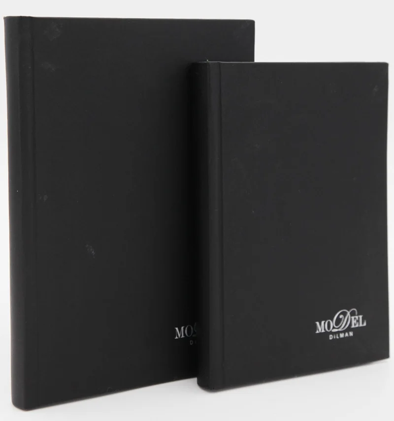 DİLMAN DEFTER MODELİST CİLTLİ SERT KAPAK 17x24 160 YP DÜZ 6013 (Best)