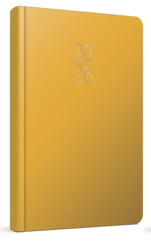 GIPTA AJANDA GÜNLÜK EKO SUNİ DERİ 17x24 106-ECK