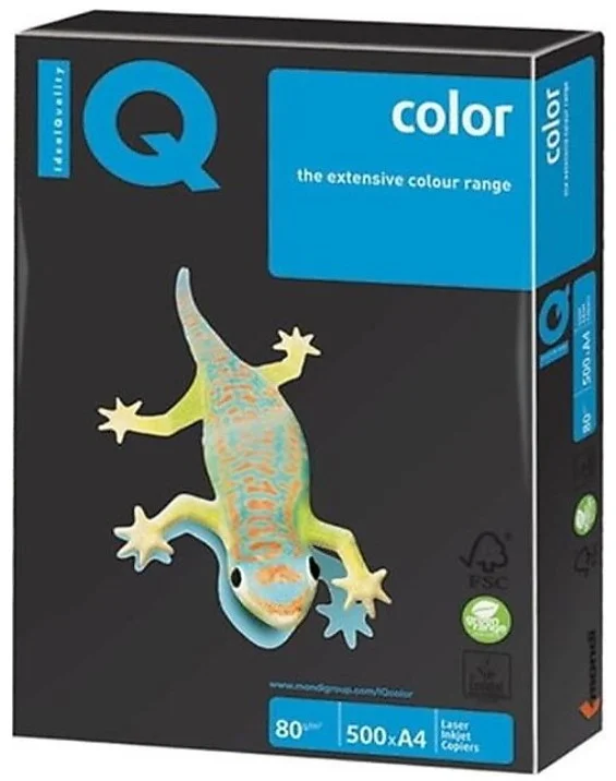 IQ RENKLİ FOTOKOPİ KAĞIDI 500 LÜ A4 80 g/m² SİYAH NE1341-B100 (Best)