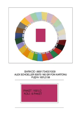 ALEX FON KARTONU 160GR 50X70 FUŞYA 100 LÜ 58 (Best)