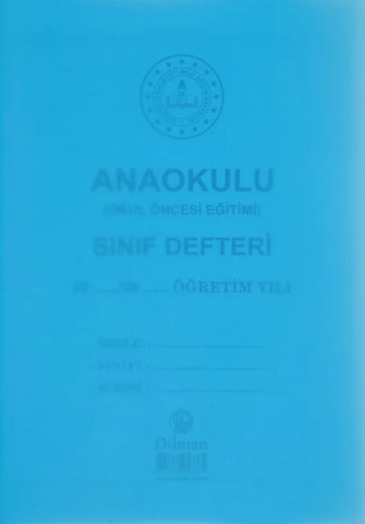 DİLMAN SINIF DEFTERİ ANAOKULU PP KAPAK 22x32 44 YP 5336