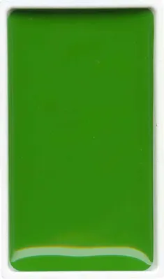 ZIG SULUBOYA GANSAI TAMBI TABLET MC21- 51 SAP GREEN LIGHT