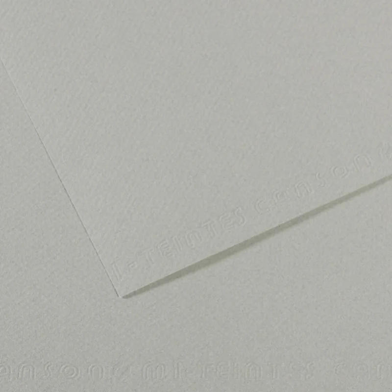 CANSON FON KARTONU MI-TEINTS 50x65 160 GR ( 25 Lİ PAKET ) GRİ 354 200331414