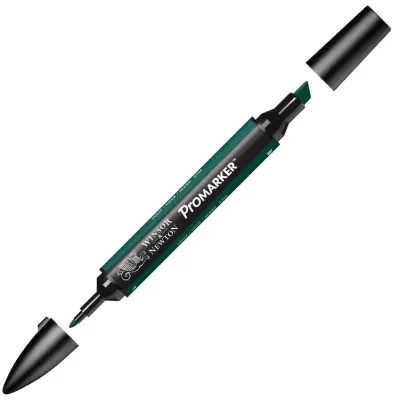 W&N PROMARKER KALEM HOLLY 243 (G724) WN-0203243