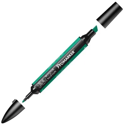 W&N PROMARKER KALEM GREEN 289 (G847) WN-0203289