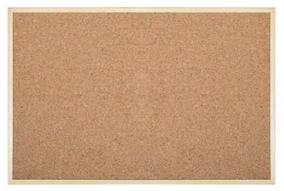 İNTER MANTAR PANO EKO ÇERÇEVE 45X60 511