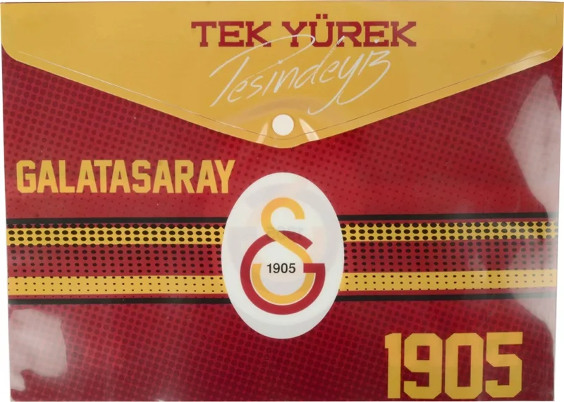 TİMON ÇITÇITLI DOSYA GS 1905 464500