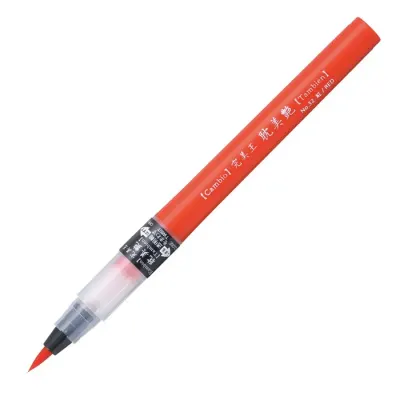 PASİF ZIG CAMBIO TAMBIEN PEN 032 X050T