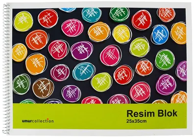MYNOTE RESİM DEFTERİ KARTON KAPAK SPİRALLİ 25x35 15 YP 2092
