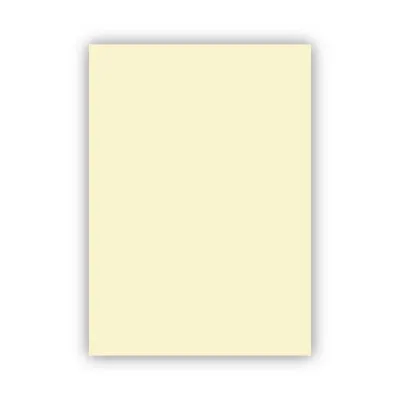 ALEX KOLEJ FON KARTONU 50x70 FİLDİŞİ 160 GR 100 LÜ 1002 (Best)