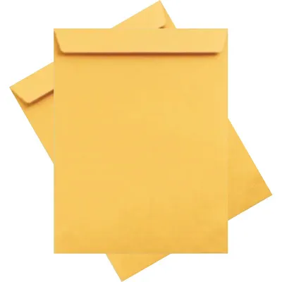 ASİL FORMULA 24x32 TORBA ZARF 100 gr 250Lİ AS-0854 (Best)