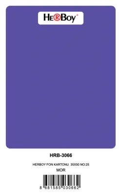 HERBOY FON KARTONU 35X50 NO:25 MOR 100 LÜ HRB-3066 (Best)