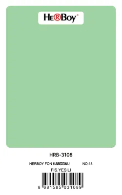 HERBOY FON KARTONU 50x70 FISTIK YEŞİL NO:13 160 GR 100 LÜ HRB-3108 (Best)