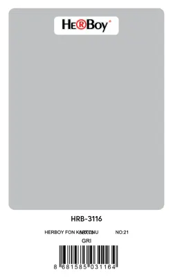HERBOY FON KARTONU 50x70 GRİ NO:21 160 GR 100 LÜ HRB-3116 (Best)