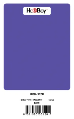 HERBOY FON KARTONU 50x70 MOR NO:25 160 GR 100 LÜ HRB-3120 (Best)