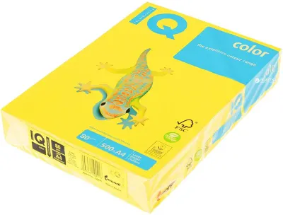 IQ A4 YOĞUN KOYU SARI RENKLİ FOTOKOPİ KAĞIDI 80 gr. CY39 (Best)