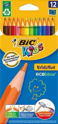 BİC EVOLUTION 12 RENK KURU BOYA 82902910 (Best)
