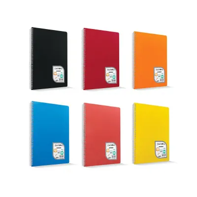ÇINAR COLORMAXI A5 60 YP ÇİZGİLİ PP KAPAK SPİRALLİ DEFTER 73510 (Best)