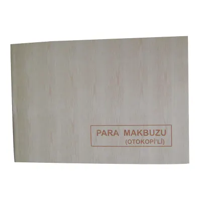 DİLMAN PARA MAKBUZU 2/50 2 N OTOKOPİLİ (Best)