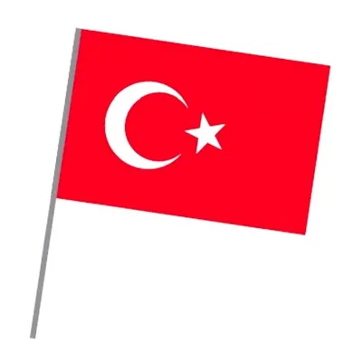 VATAN 20x30 SOPALI BEZ BAYRAK VT225