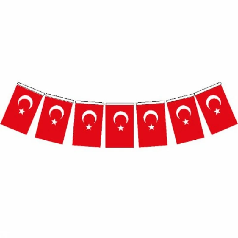VATAN İPLİ MİNİK BOY TÜRK BAYRAK 40 LI VT805