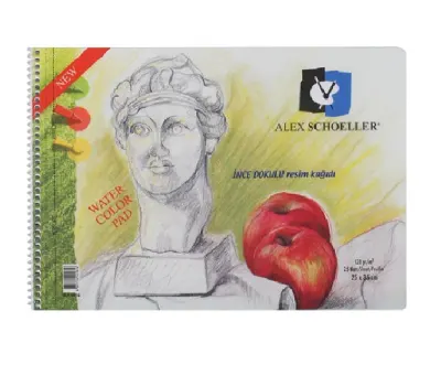 ALEX SCHOELLER 25x35 RESİM DEFTERİ 120 GR.15 YP (Best)