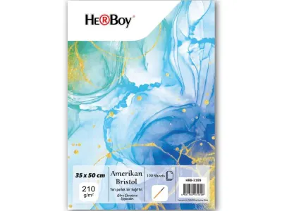 HERBOY AMERİKAN BRİSTOL KARTONU 35X50 210g 100 AD.