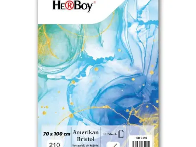 HERBOY AMERİKAN BRİSTOL KARTONU 70x100 210g 100.AD.