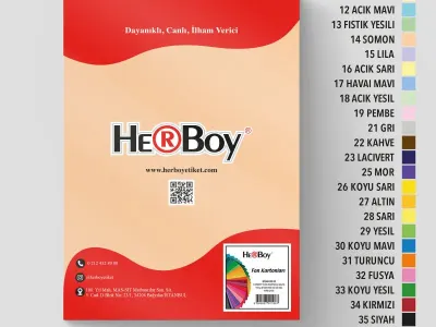 HERBOY FON KARTONU 25X35 NO:14 SOMON 100 AD.