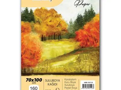 HERBOY SULU BOYA KAĞIDI 70X100cm 160g 100'LÜ
