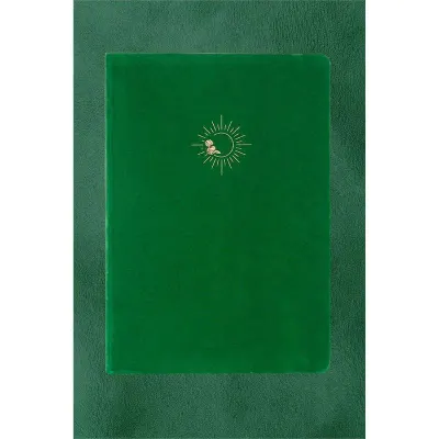 Vj 124-1644 Bujo Defter Süet 96 Yaprak 160 Gr. Beyaz Kağıt Cepli Çizgili Yeşil