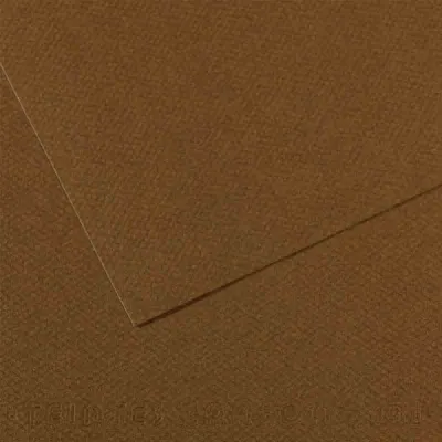 Canson Fon Kartonu (Dokulu) Mı-Teıntes 25 Lİ 50x65 160 GR 501 Dark Brown 200331484