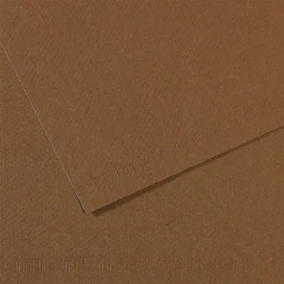 Canson Fon Kartonu (Dokulu) Mı-Teıntes 25 Lİ 50x65 160 GR 133 Sepia 200321404