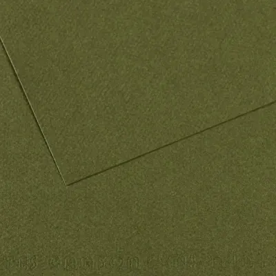 Canson Fon Kartonu (Dokulu) Mı-Teıntes Sh Canmt 50x65 160 GR Grn 448