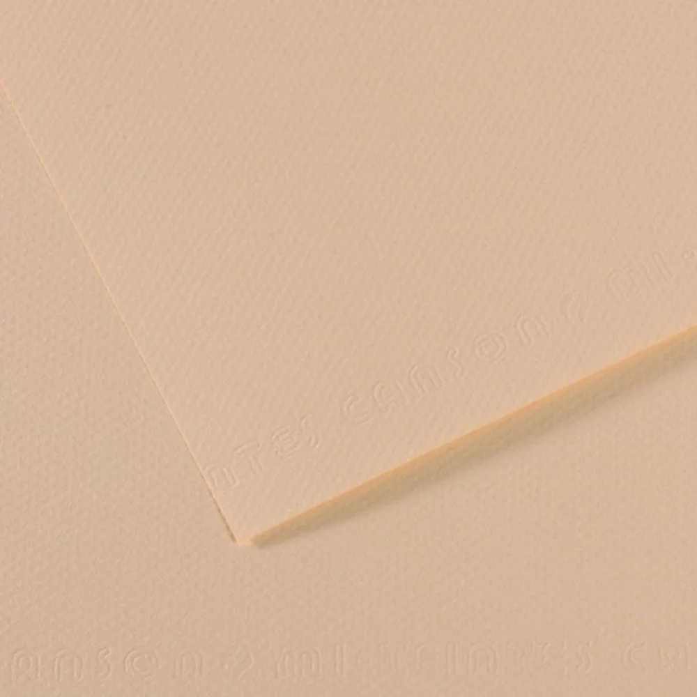 Canson Fon Kartonu (Dokulu) Mı-Teıntes 10 Lu  50x65 160 GR 112 Ylw 31032S093