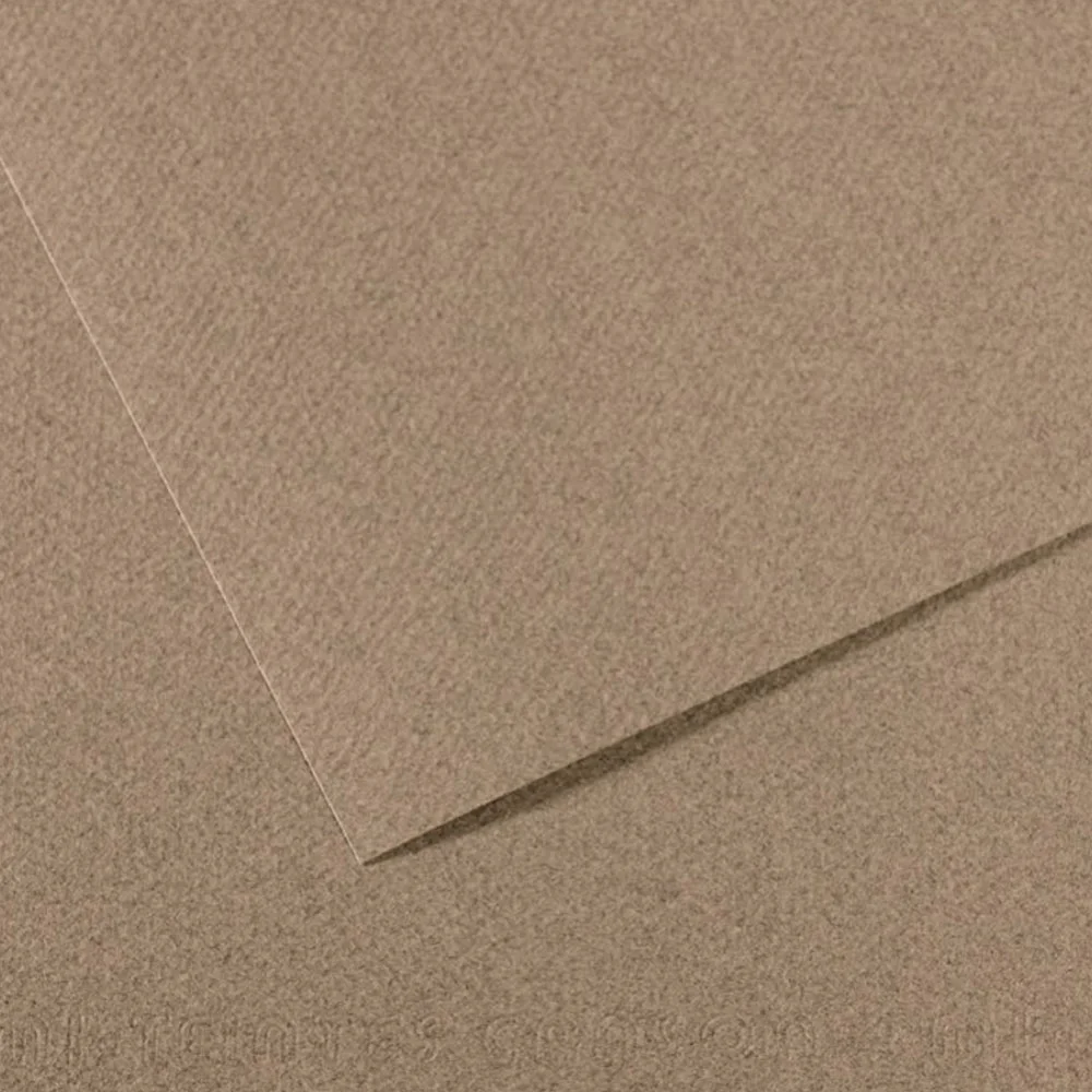 Canson Fon Kartonu (Dokulu) Mı-Teıntes 50x65 160 GR Grey 431