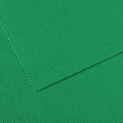 Canson Fon Kartonu (Dokulu) Mı-Teıntes Sh Canmt 50x65 160 GR Grn 575 31032S114