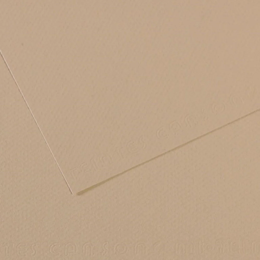 Canson Fon Kartonu (Dokulu) Mı-Teıntes 50x65 160 GR GREY 343